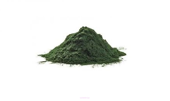 Spirulina w proszku
